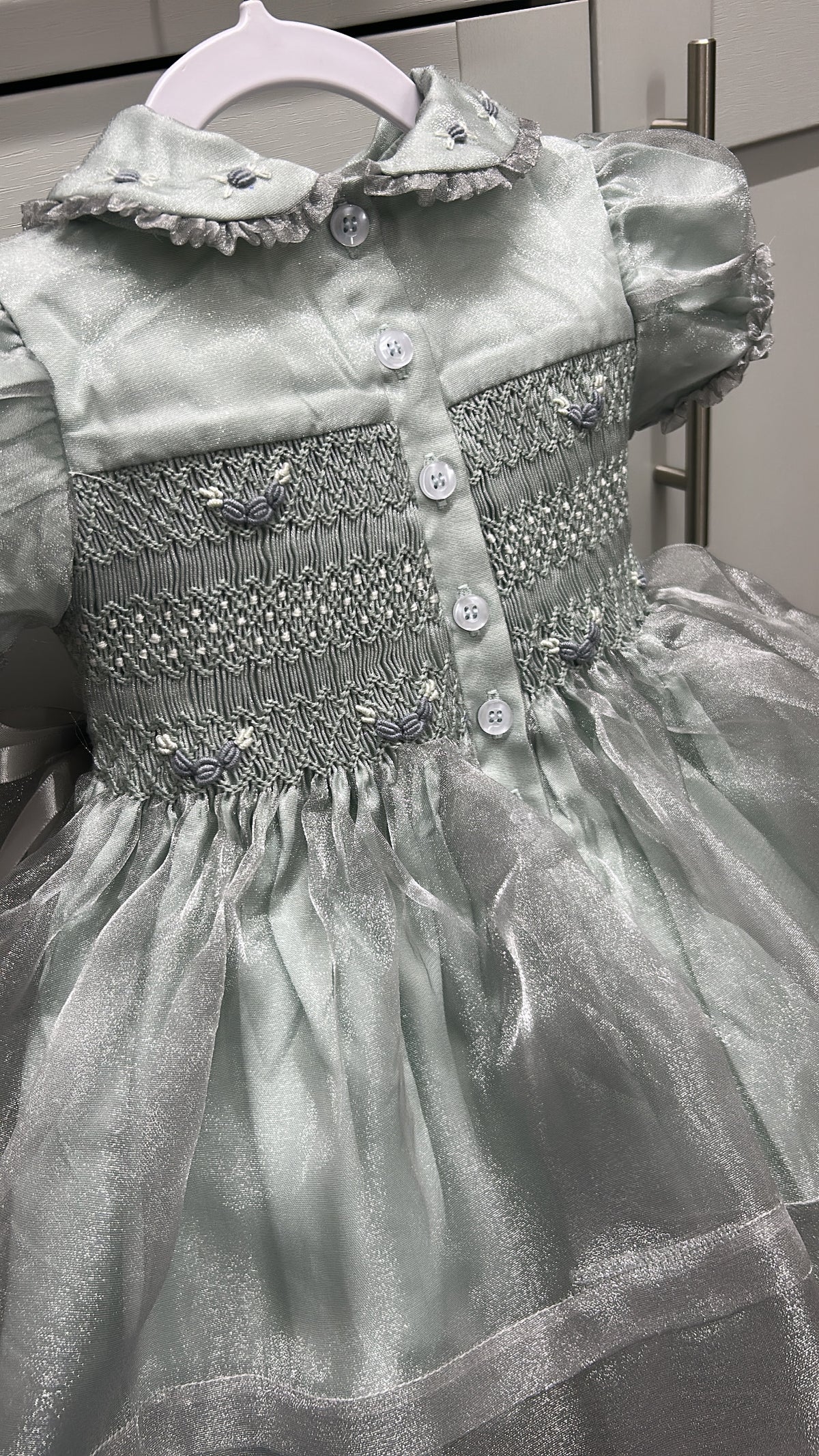 Silver organza dress