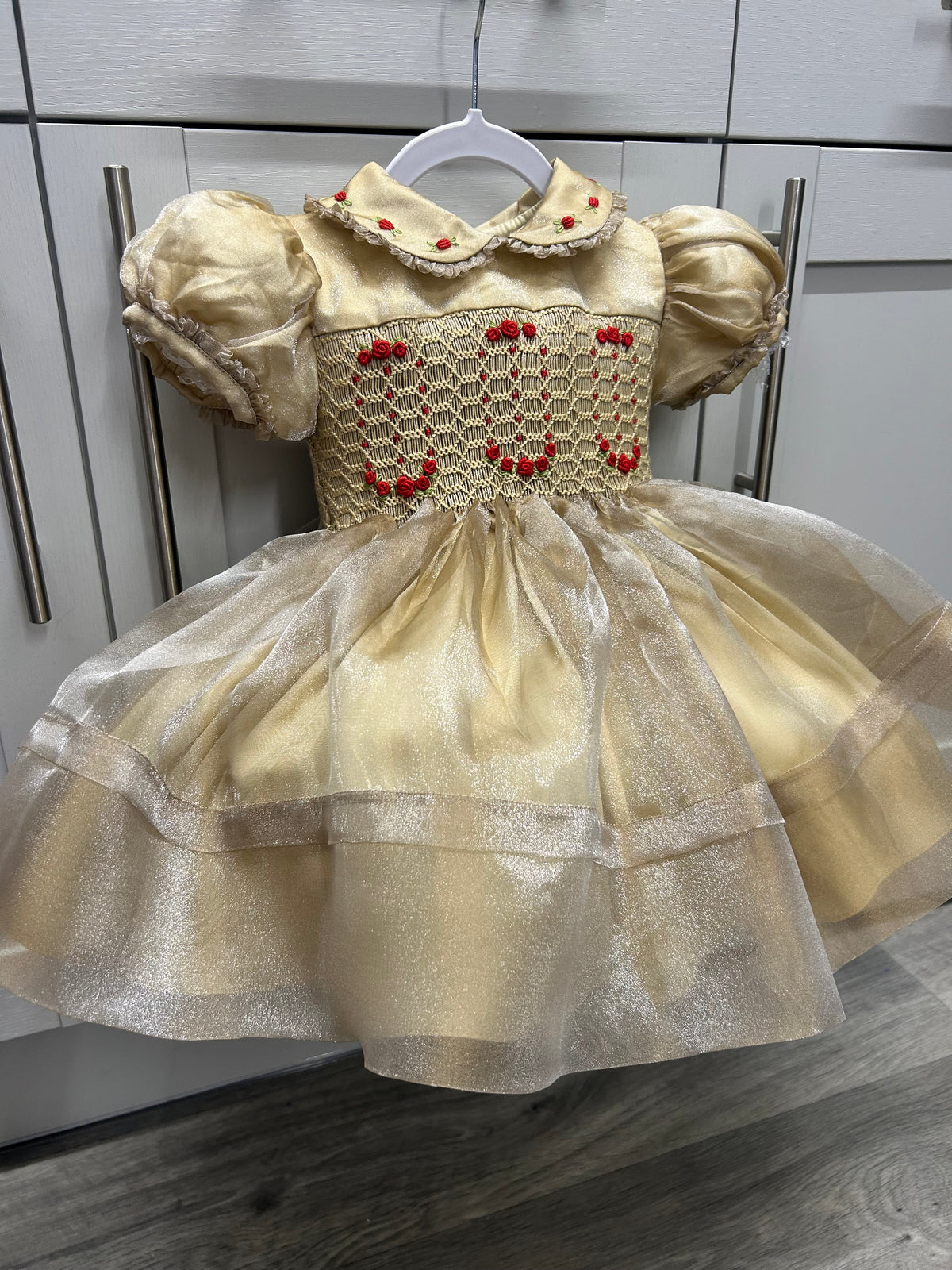 Gold organza Christmas dress